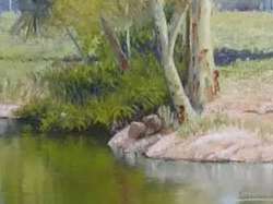 Tallabudgerra Creek
