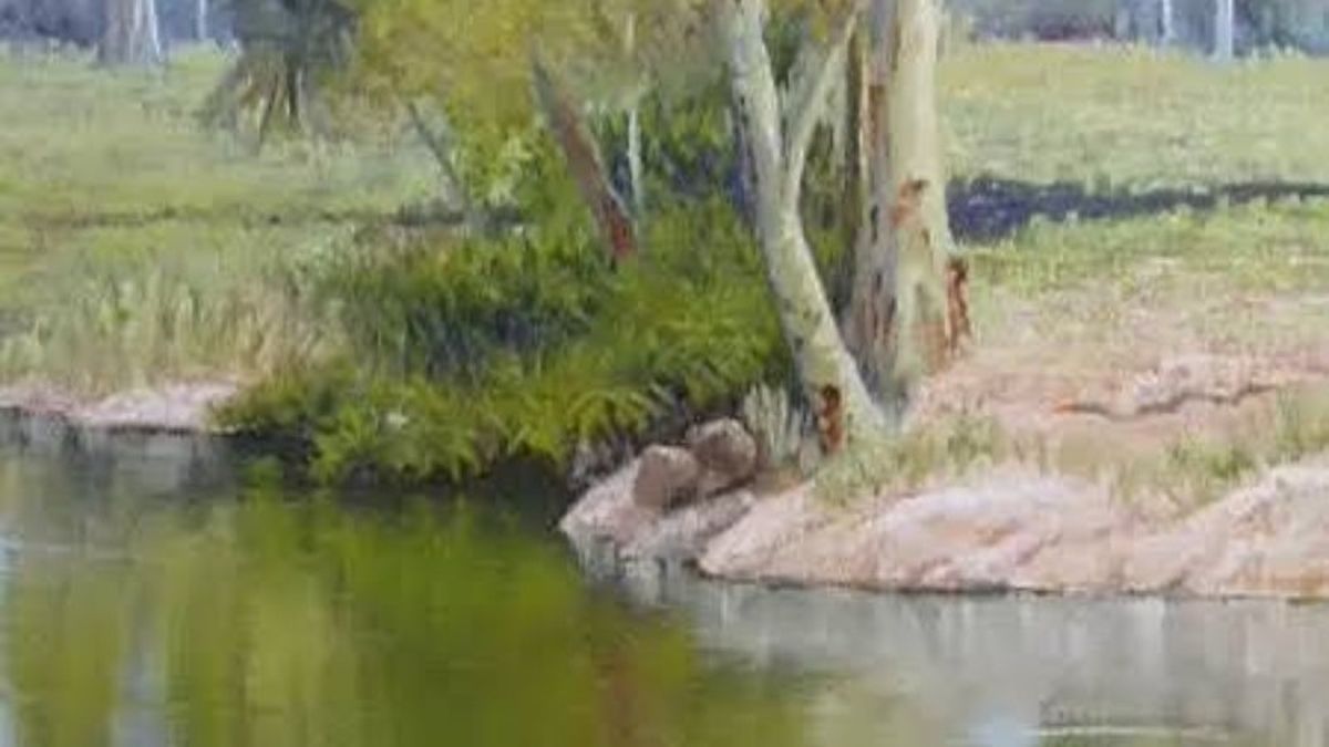 Tallabudgerra Creek