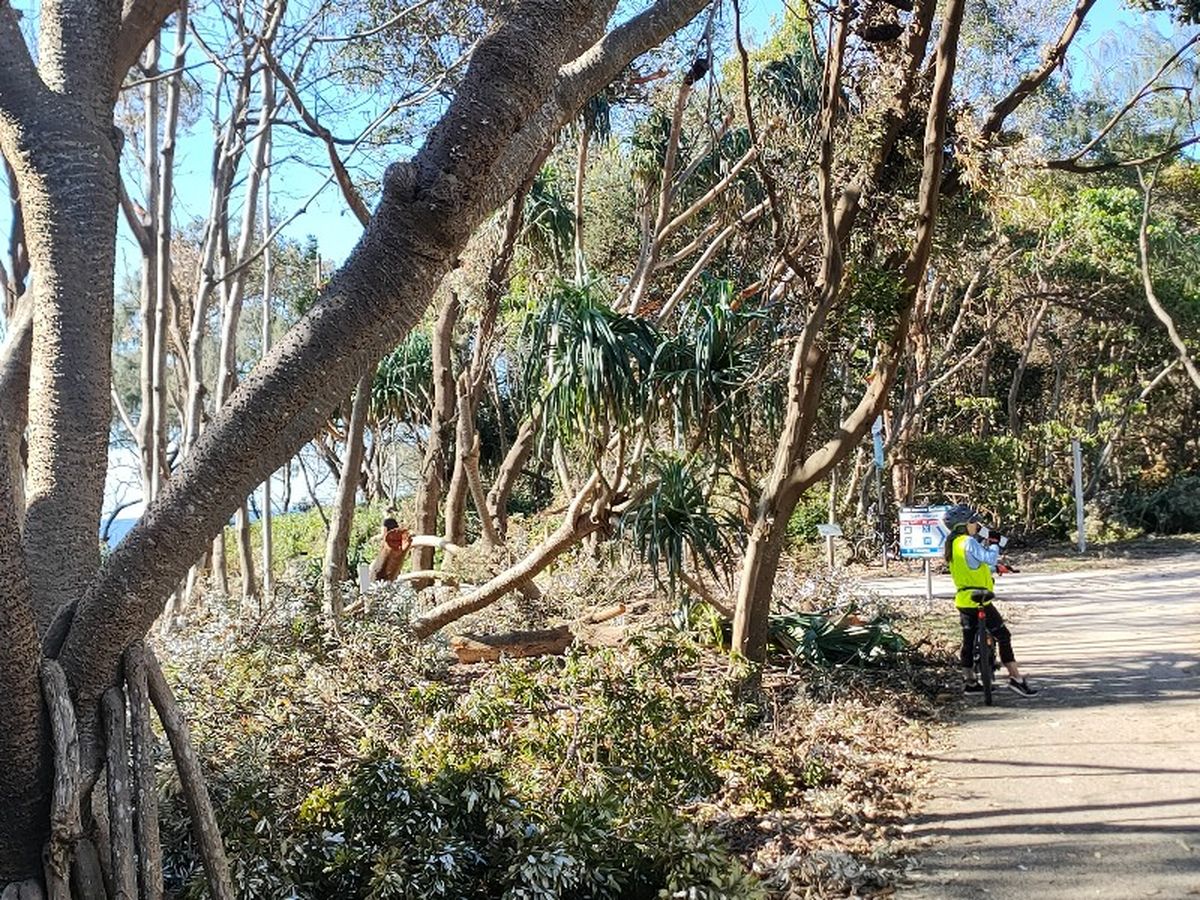 Debris along the way