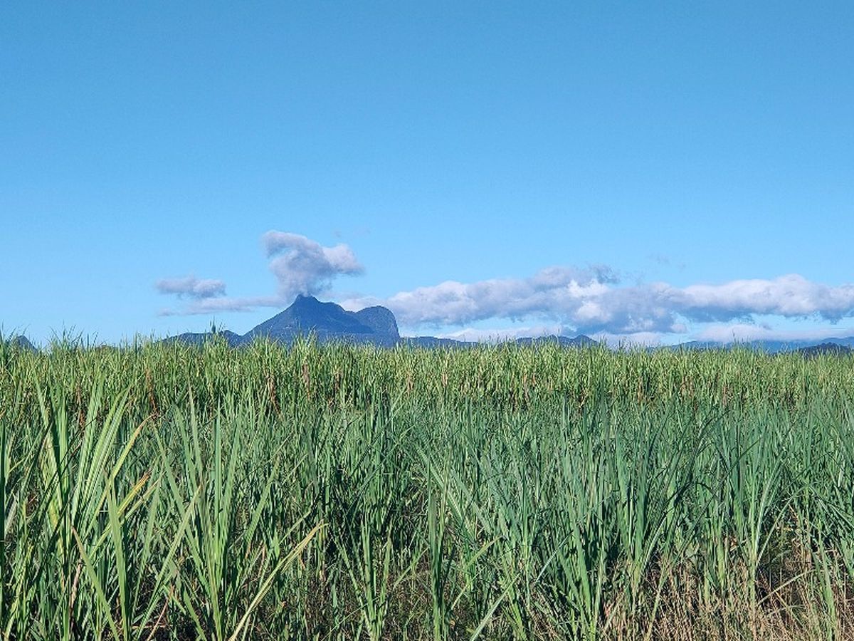 Wollumbin