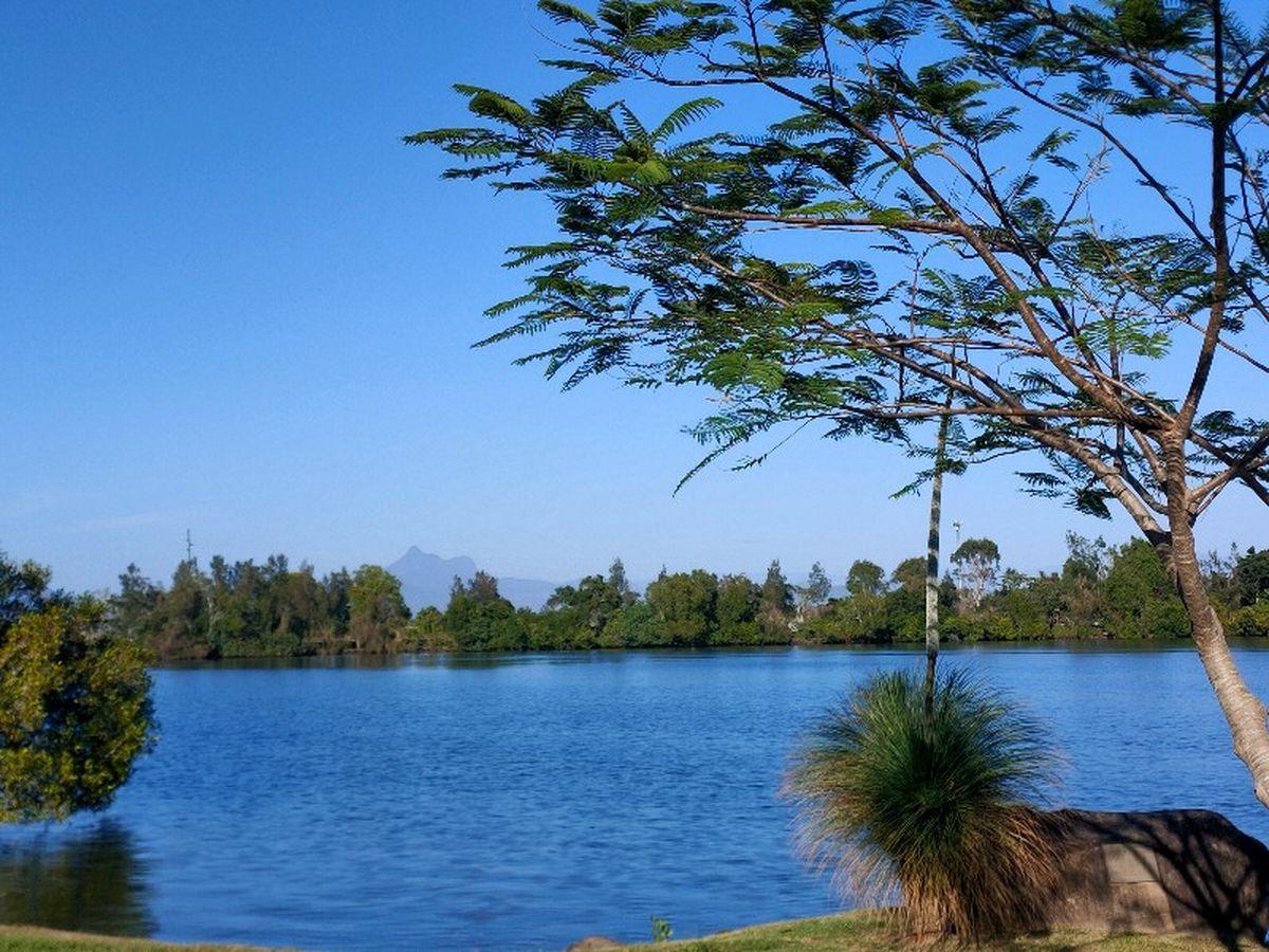 View from Tumbulgum