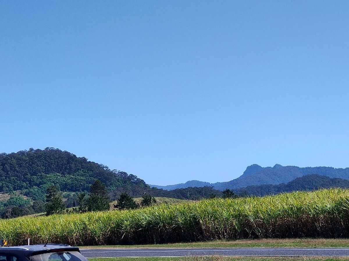 View from coffee stop Tram88