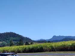 View from coffee stop Tram88