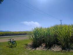 Another view of coffee stop