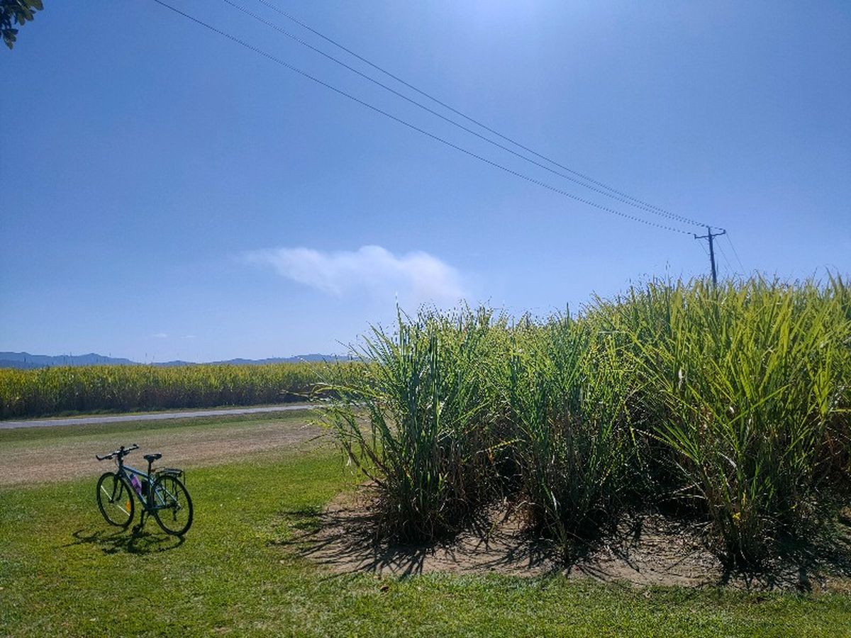 Another view of coffee stop