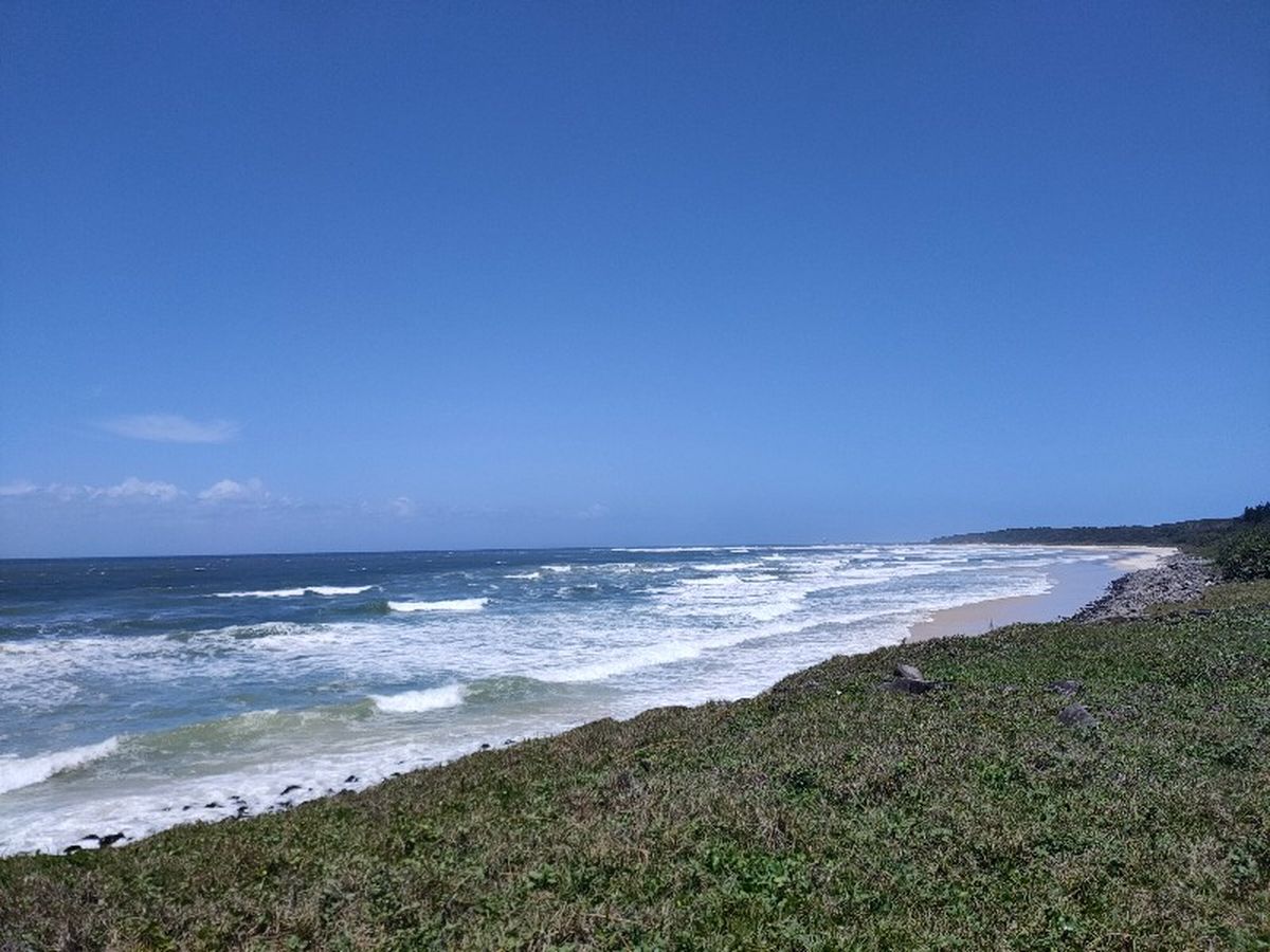 Surfs up