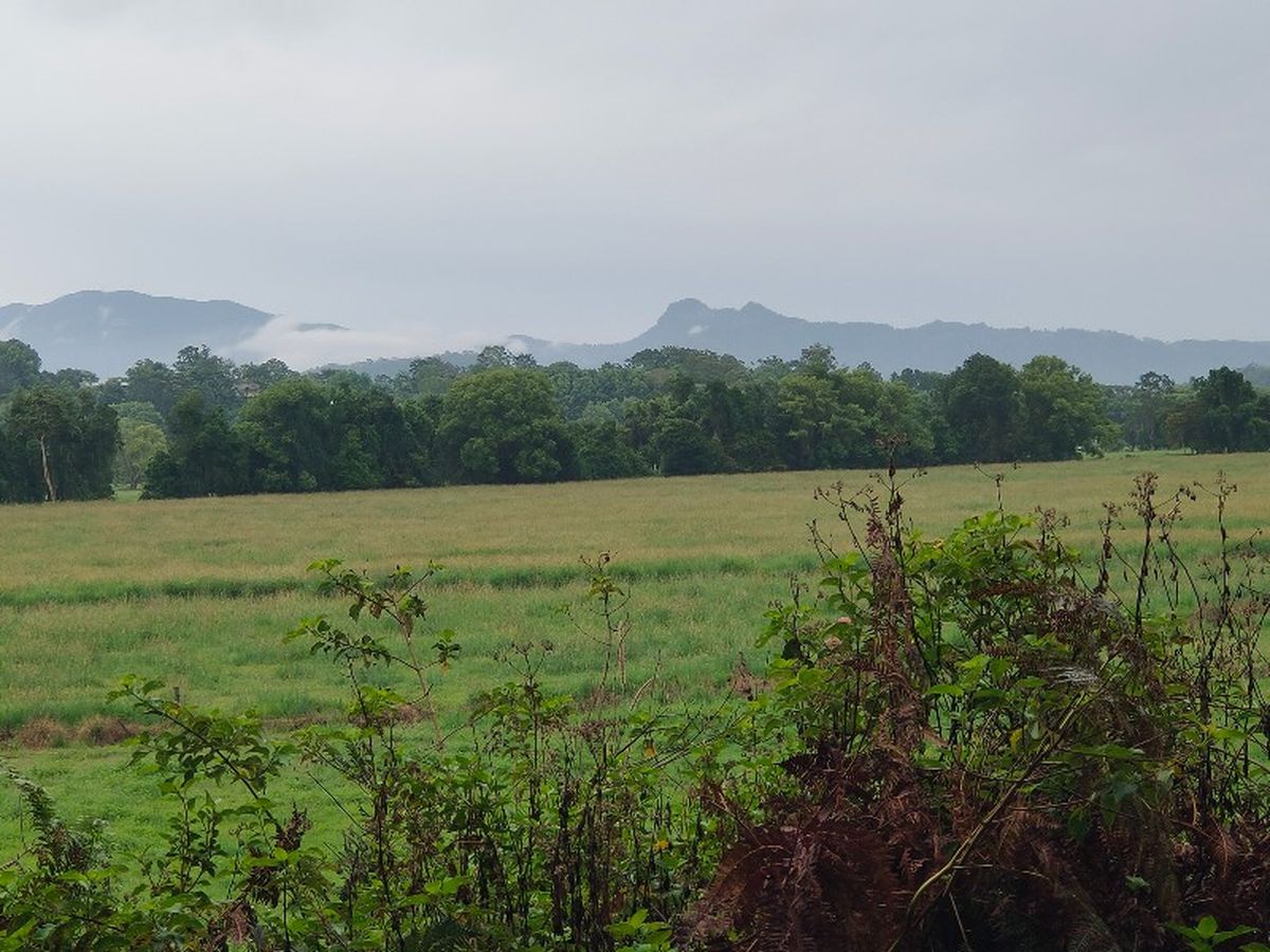 Atmospheric views 2