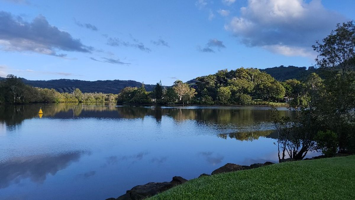 Tumbulgum morning calm