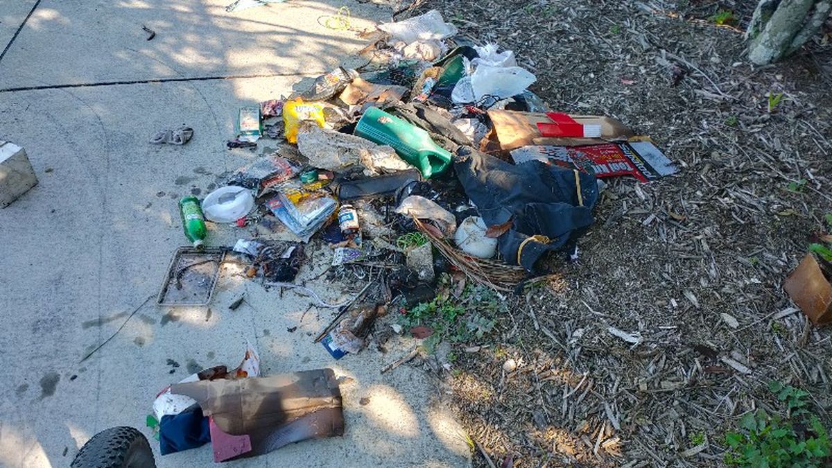 Illegal dumping I reported to Council. I had seen coming home Saturday night.