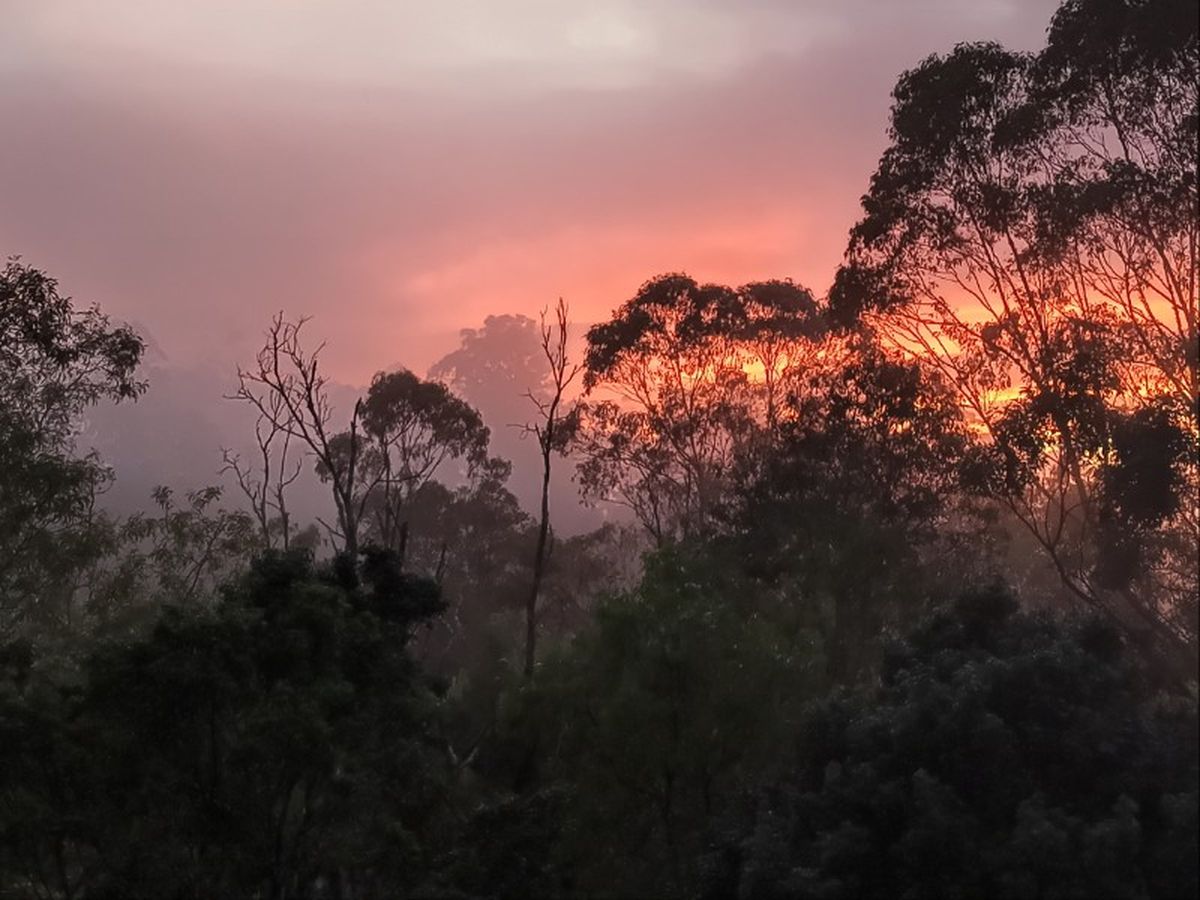 Sunrise