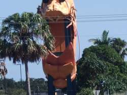 Ballina's big Prawn