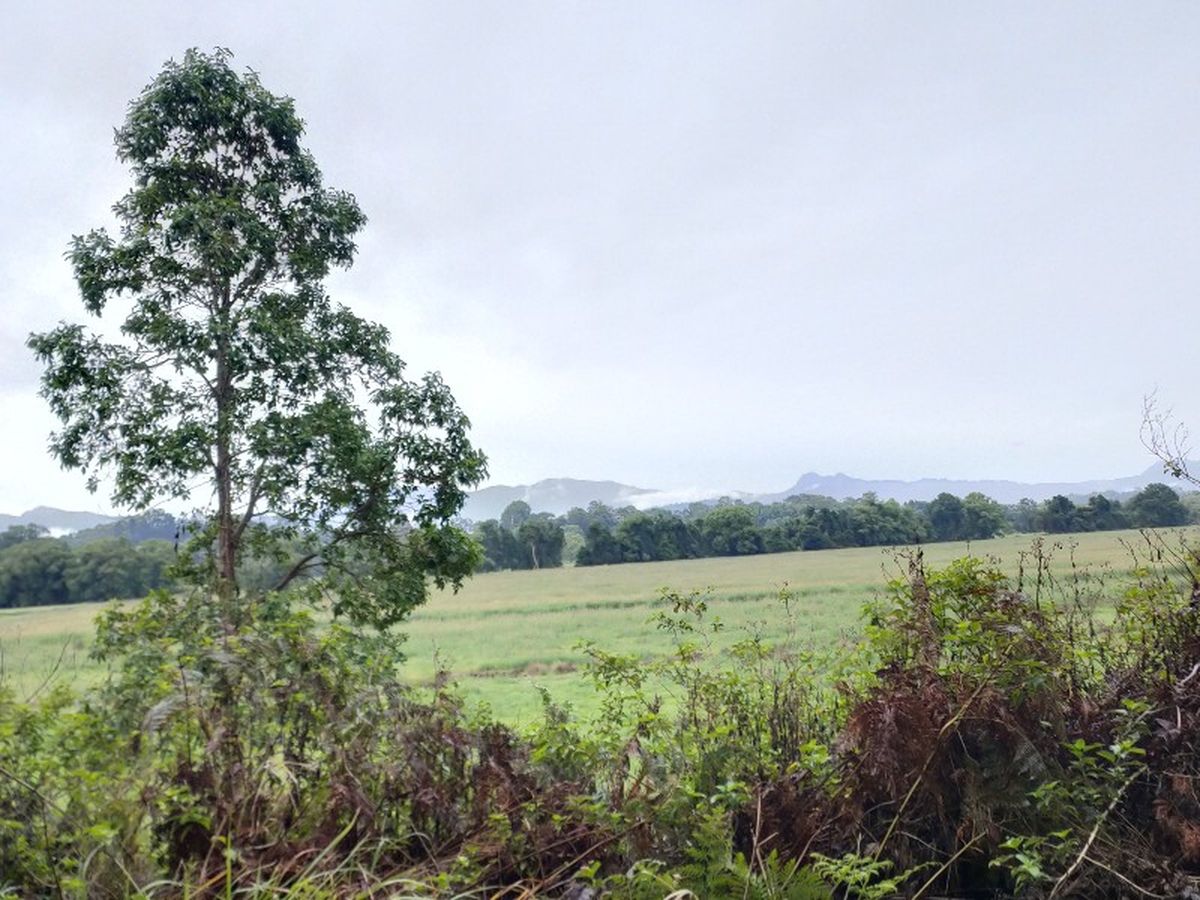 Atmospheric views