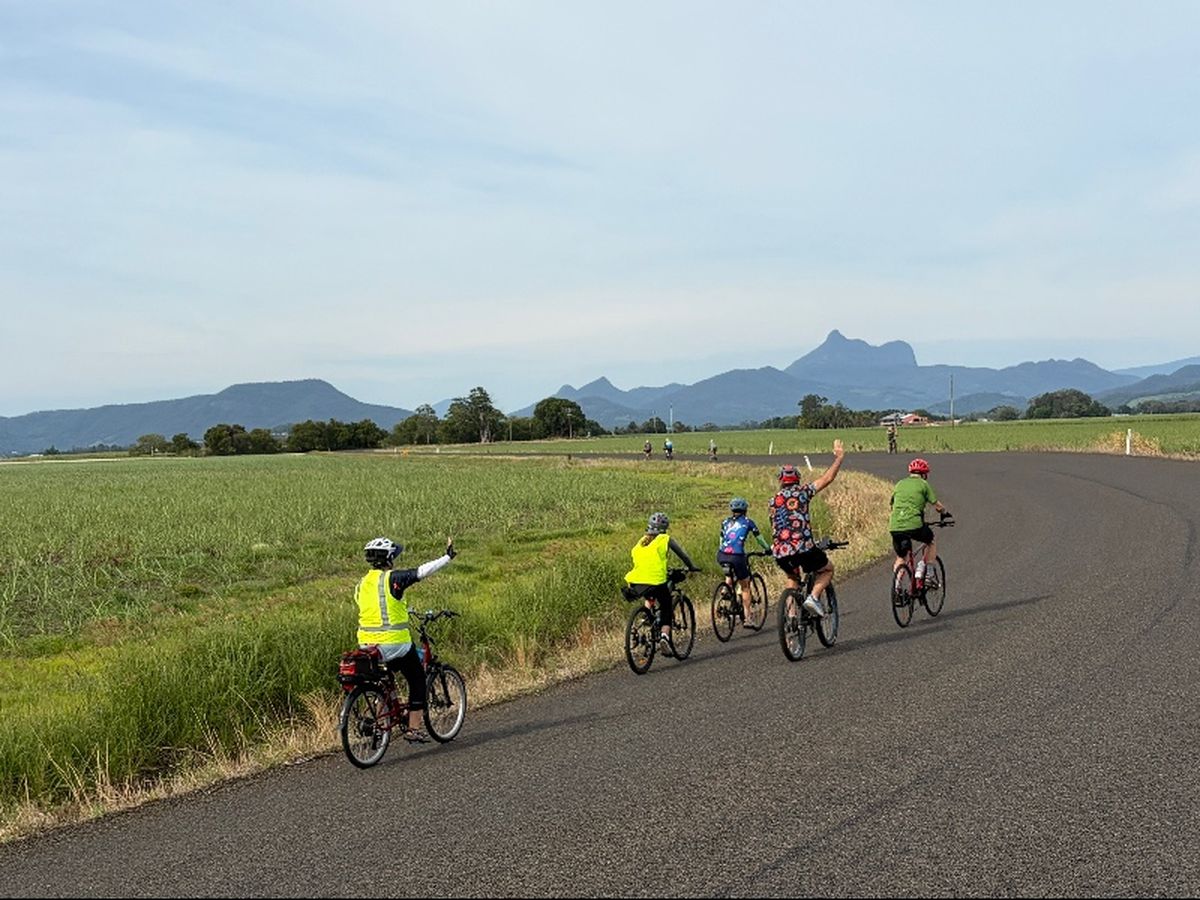 Mt warning in the back drop