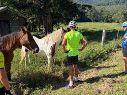 Two horse power 1500 watts