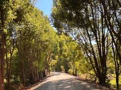 Front rider on rail track trail